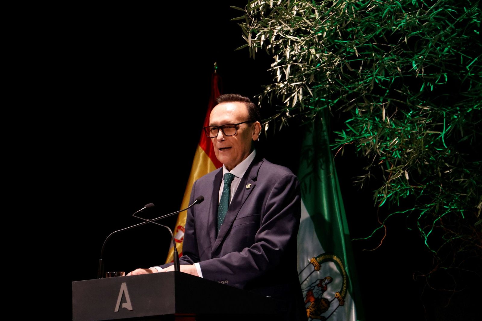 La entrega de las Banderas de Andalucía por el 28F en Córdoba, en imágenes