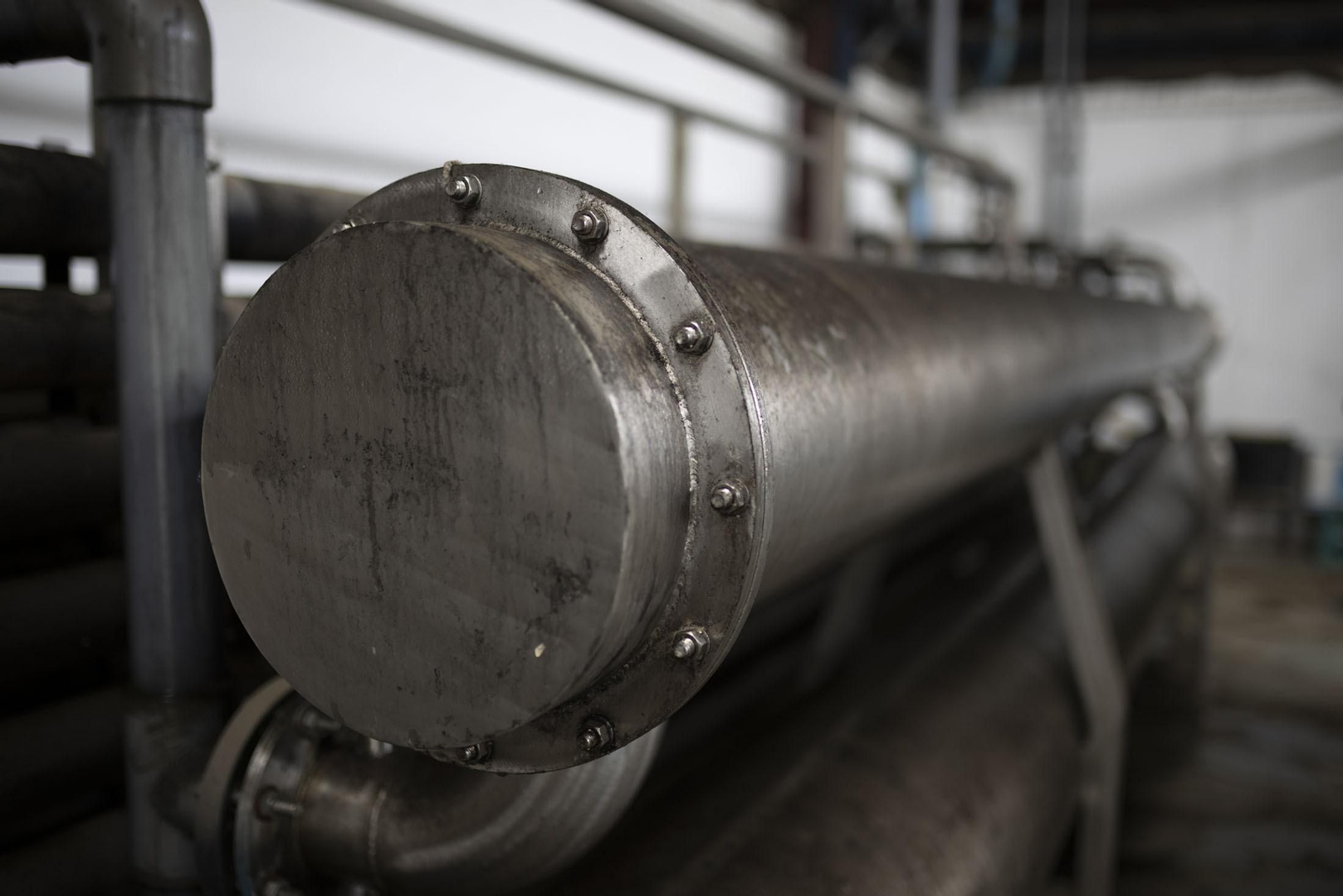 Imágenes de la vendimia en el Condado de Huelva