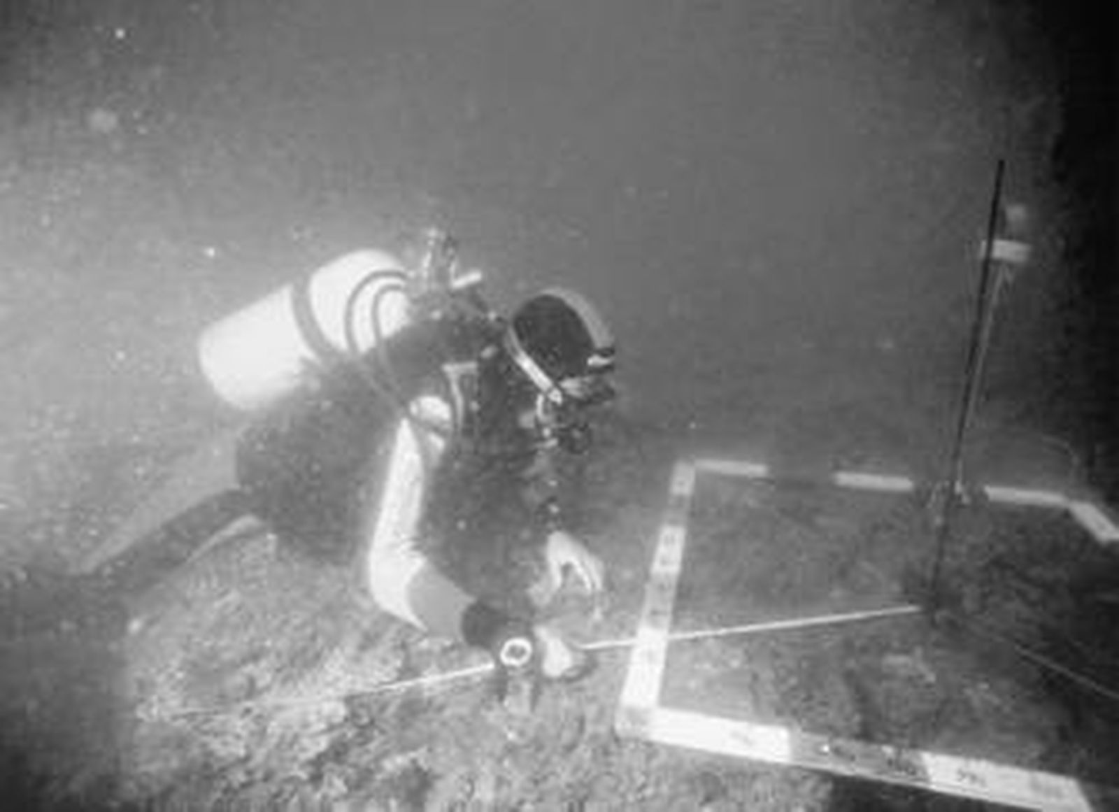 La Consejería estrecha el cerco de vigilancia del patrimonio arqueológico subacuático.