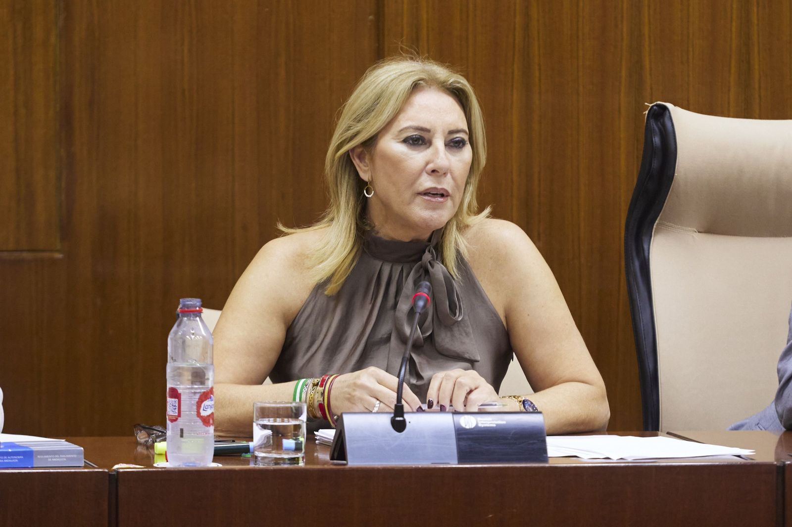 La consejera de Economía y Hacienda, Carolina España, en una comparecencia reciente.