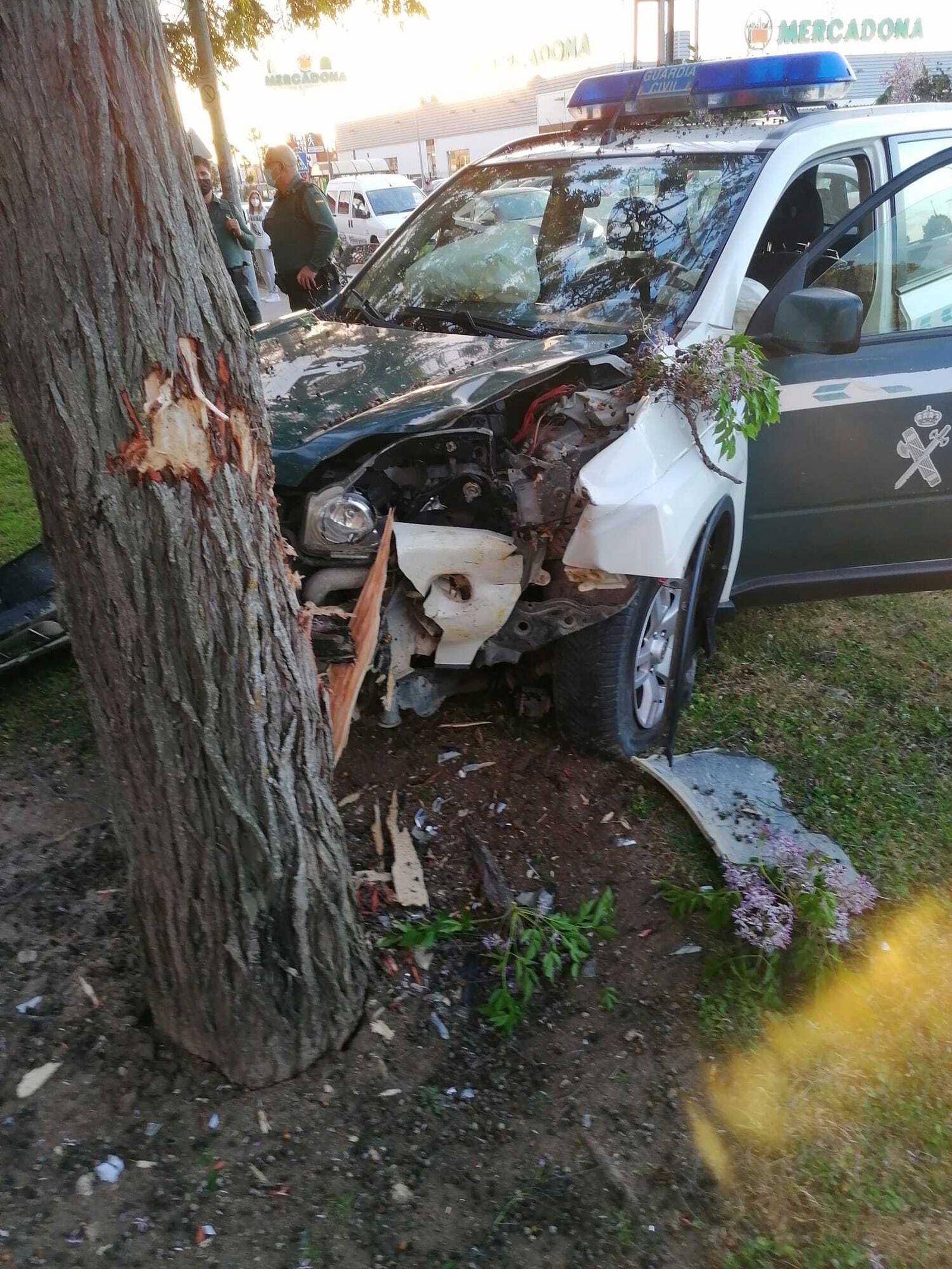 Imagen del vehículo de la Benemérita tras estrellarse contra un árbol en El Marquesado.