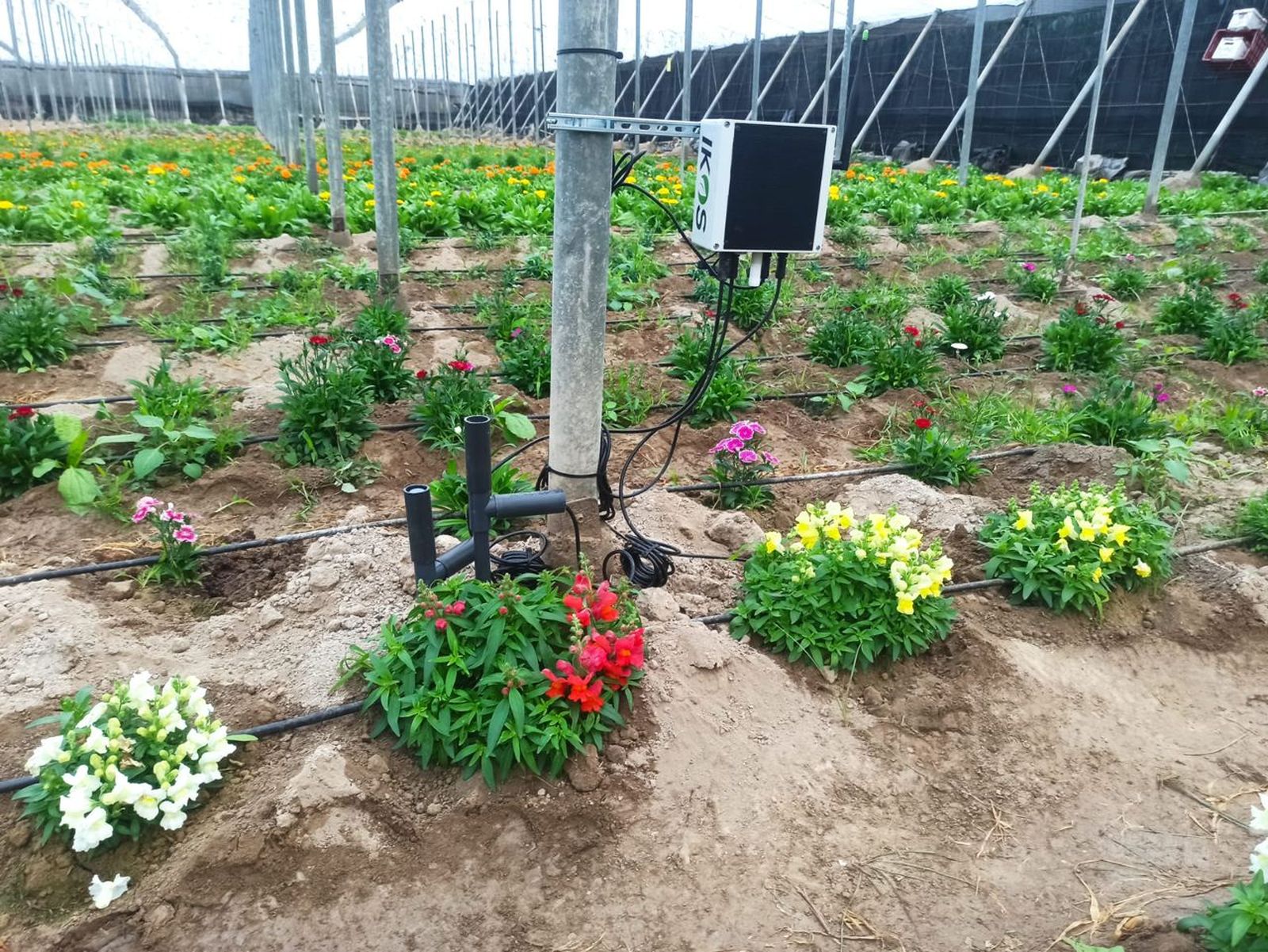 Ikos Adavanced cierra una ronda de inversión de 8 millones de euros.