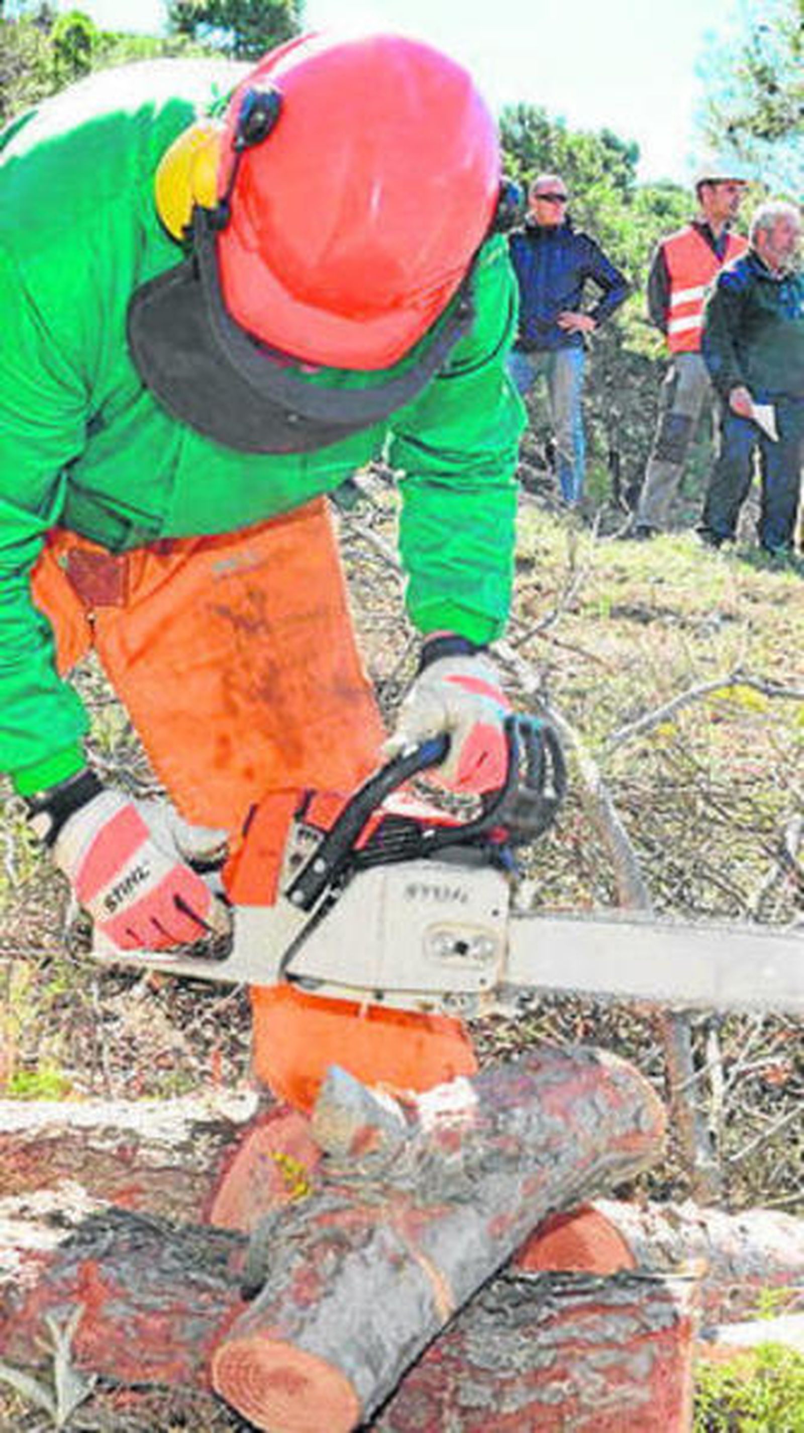 Se harán 16 proyectos.