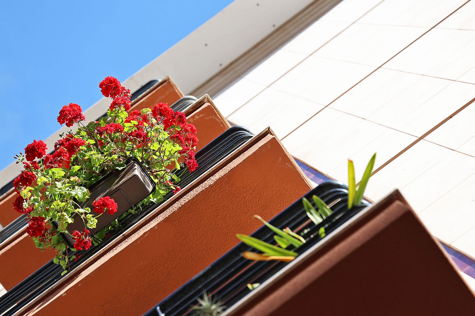 Las imágenes más destacadas del sábado 3 de mayo en Huelva