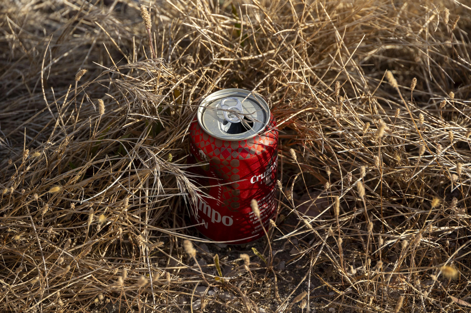 Una lata de cerveza arrojada a unos maltrechos jardines en el Paseo de Astilleros de cádiz. Una lata de cerveza arrojada a unos maltrechos jardines en el Paseo de Astilleros de cádiz.