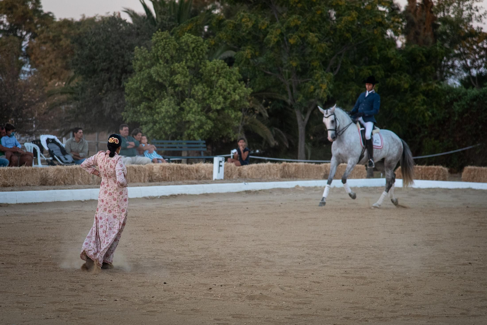 El espectáculo Flamencab en imágenes