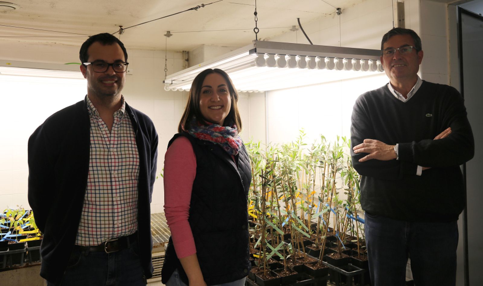Los investigadores del Departamento de Agronomía de la UCO Carlos Agustí, Ana López y Antonio Trapero.
