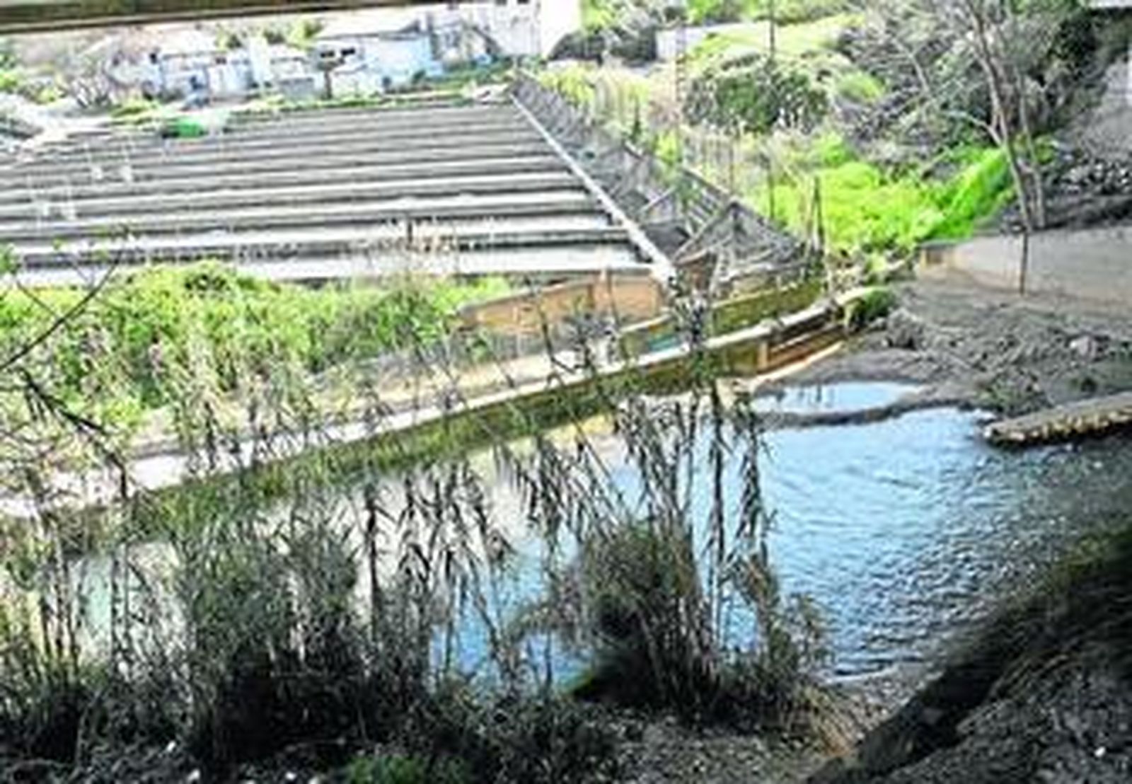 Los responsables de la piscifactoría cerraron la compuerta de entrada de agua.