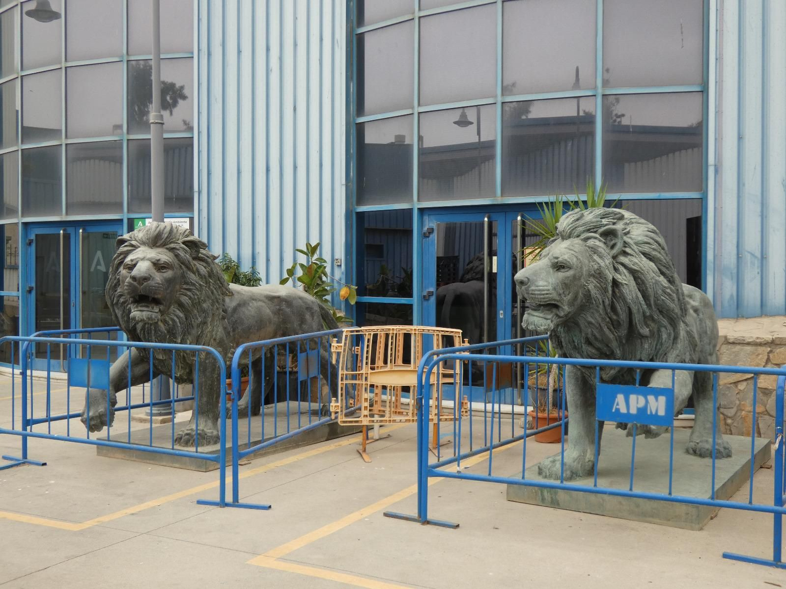 Los leones de Serrán Ginés en las instalaciones del puerto de Málaga.