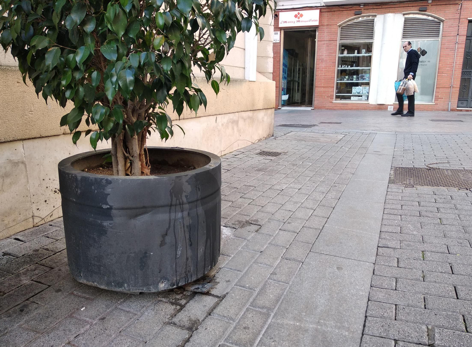 Orina de perro en uno de los macetones que hay en el centro de Huelva