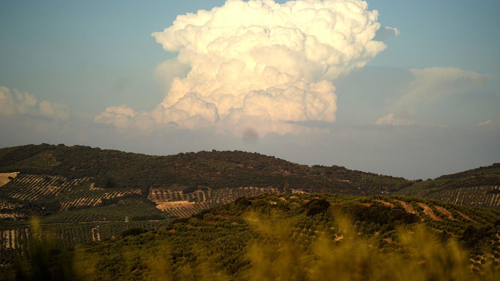 Vías pecuarias de Aguilar de la Frontera.