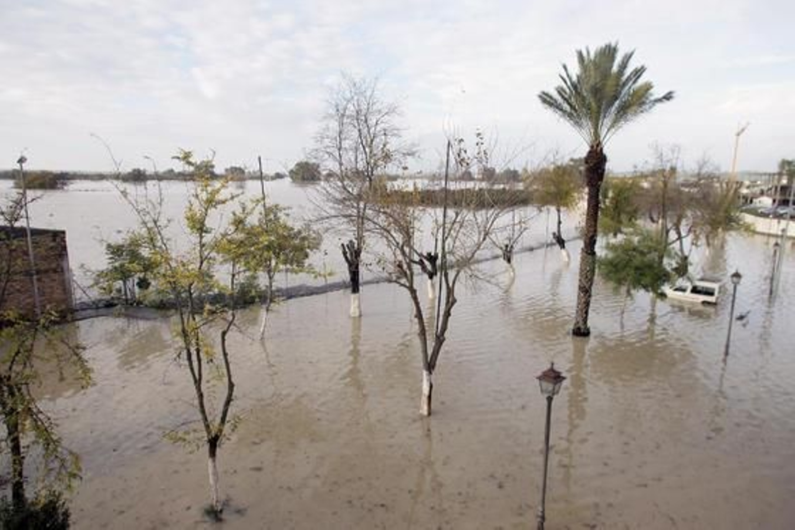 El Río Guadalquivir se desborda a su paso por Lora del Río.

Foto: Juan Carlos Muñoz