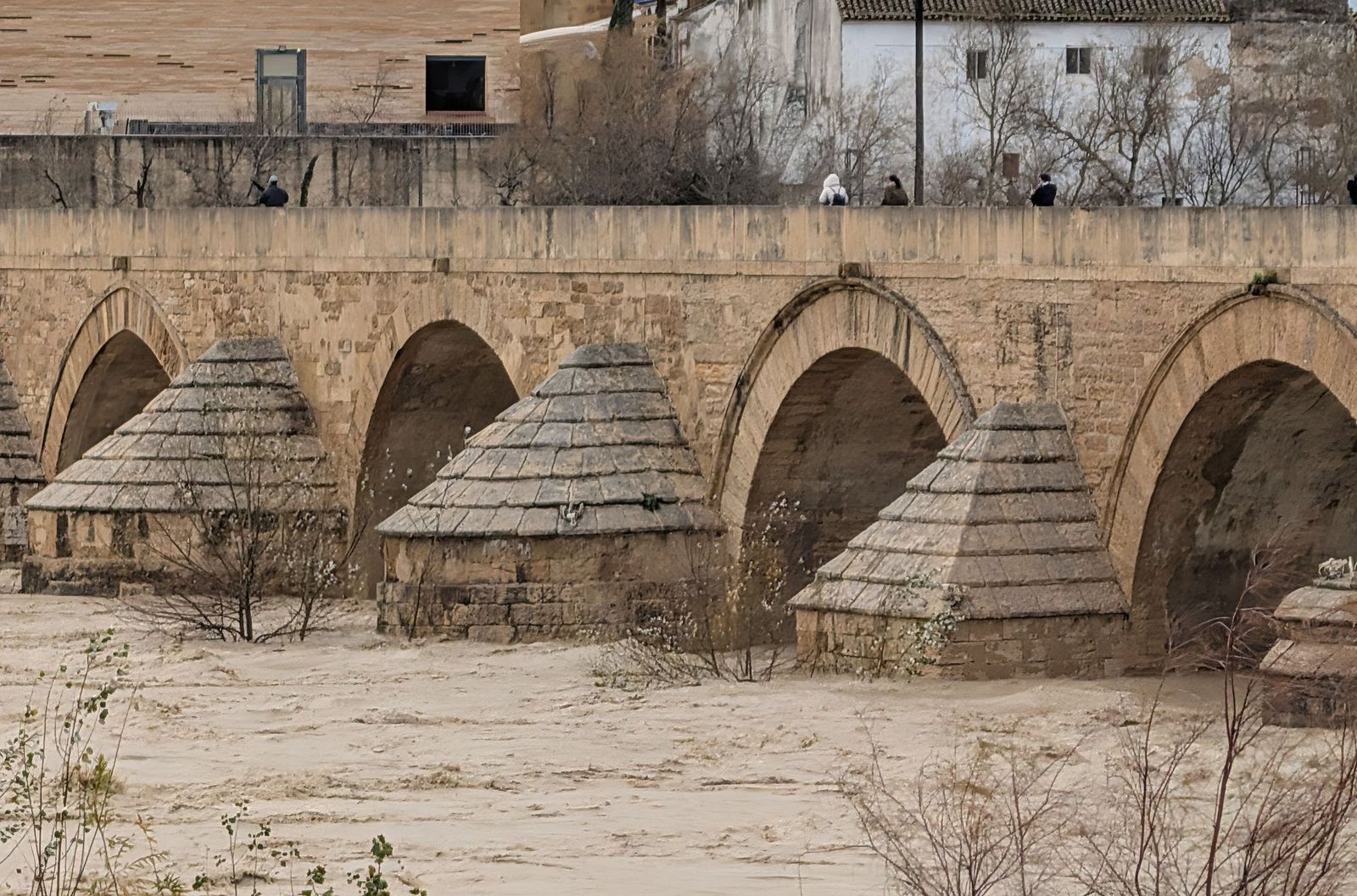 El río Guadalquivir supera los cuatro metros de altura a su paso por Córdoba, en imágenes