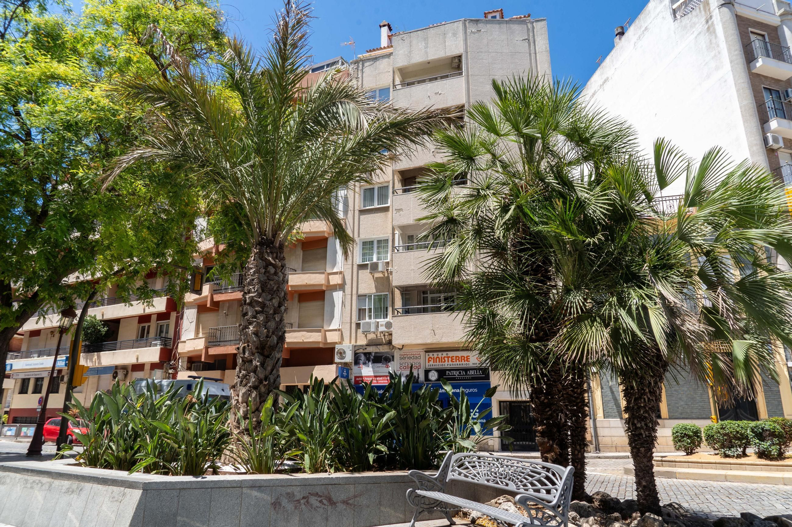 La Plaza Quintero Báez, espacio peatonal, arbolado y punto de encuentro urbano.