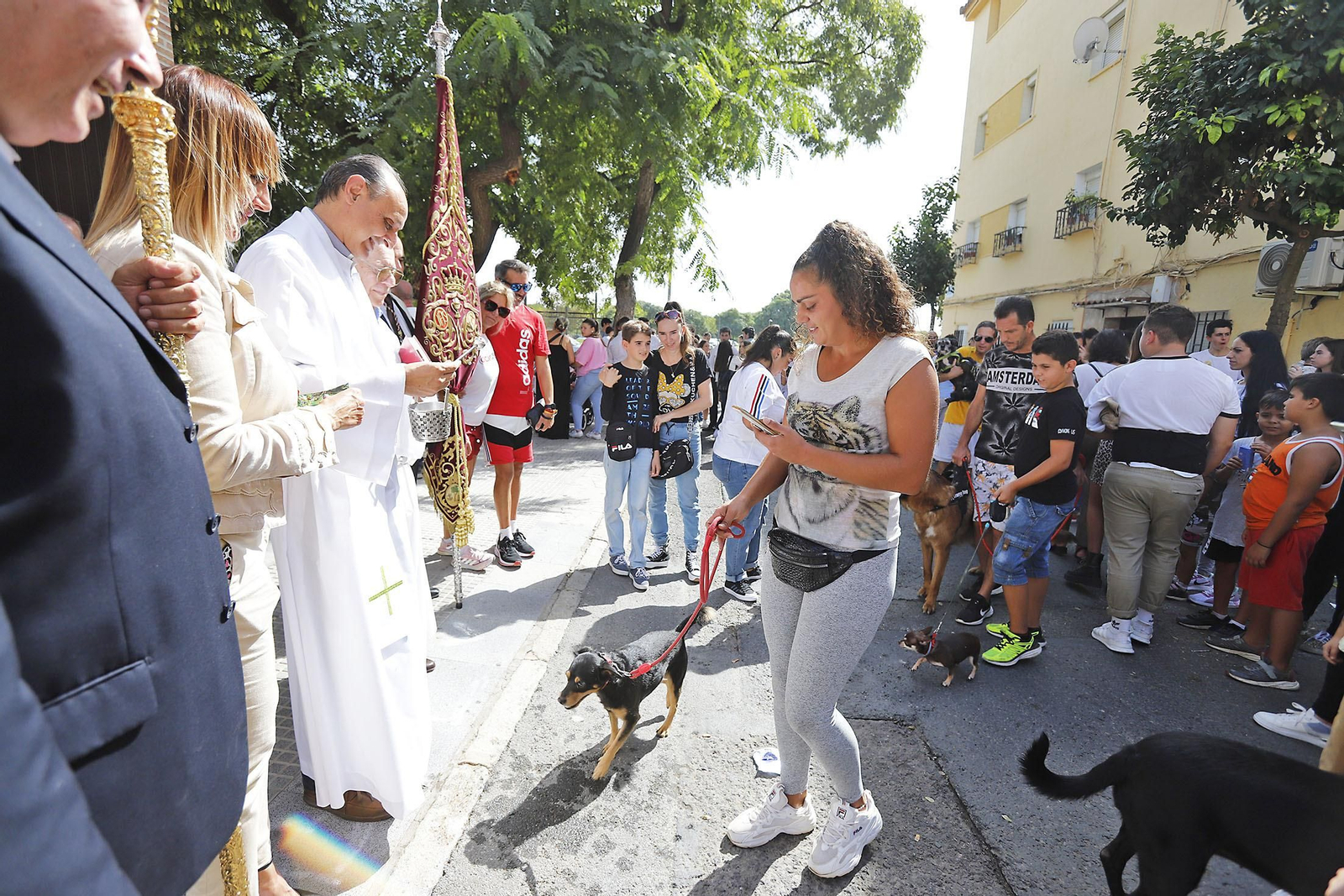 Imágenes de la procesión de San Francisco de Asís por las calles de Pérez Cubillas y bendición de animales y plantas