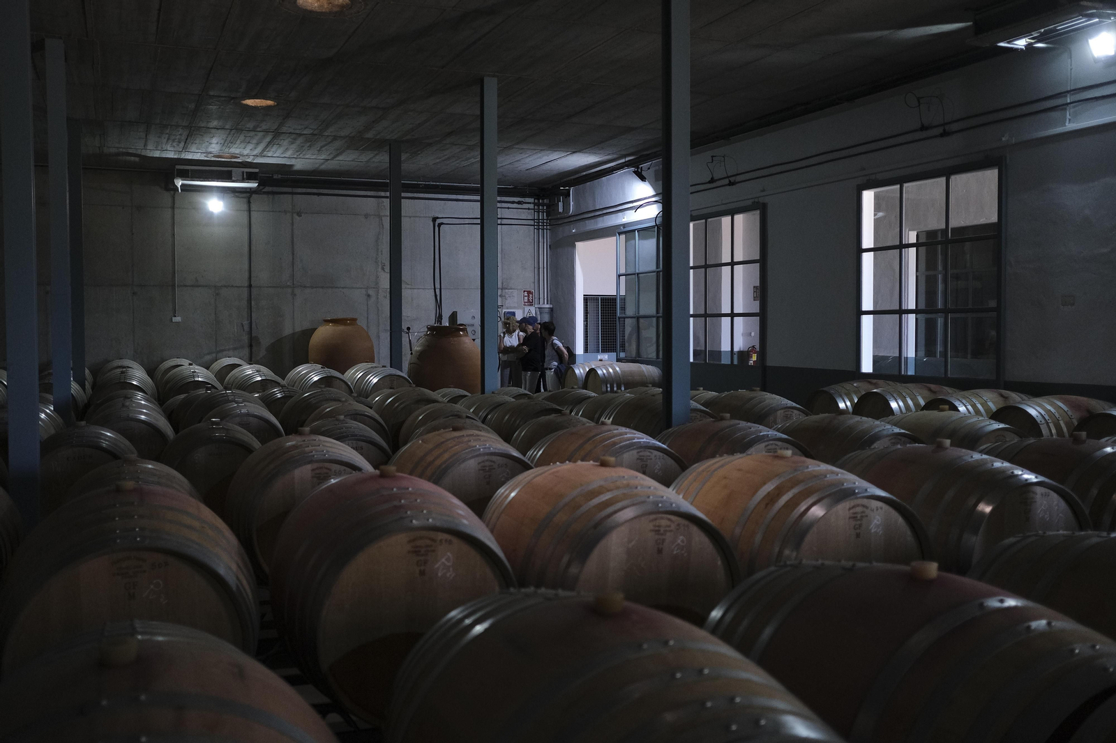 El regreso del turismo extranjero a las bodegas rondeñas, en fotos