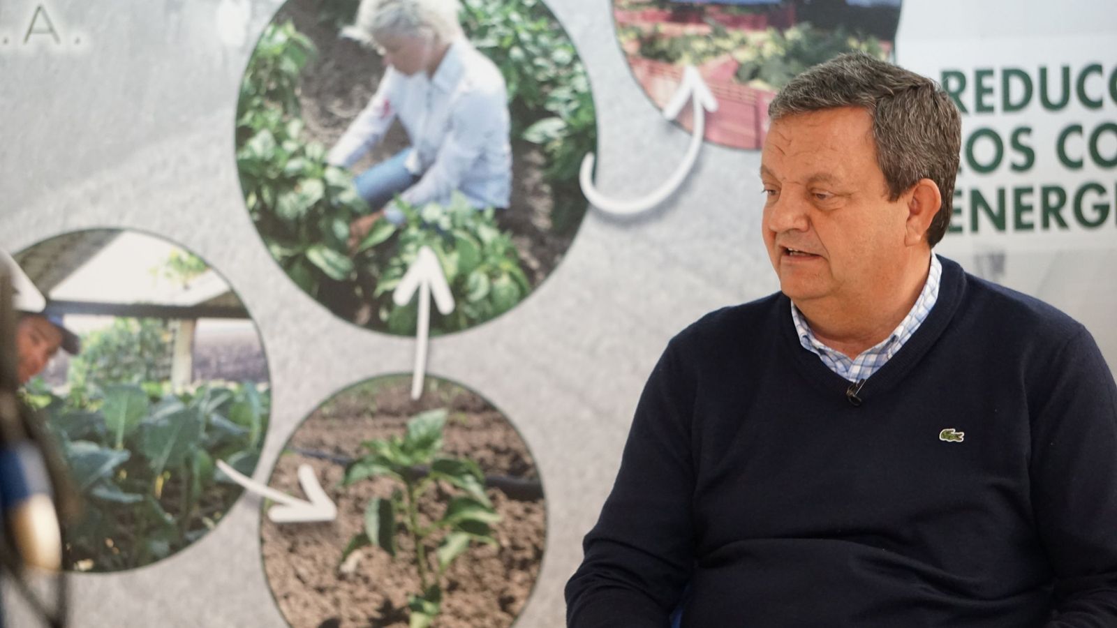 José Tejero, presidente de la cooperativa Las Marismas de Lebrija