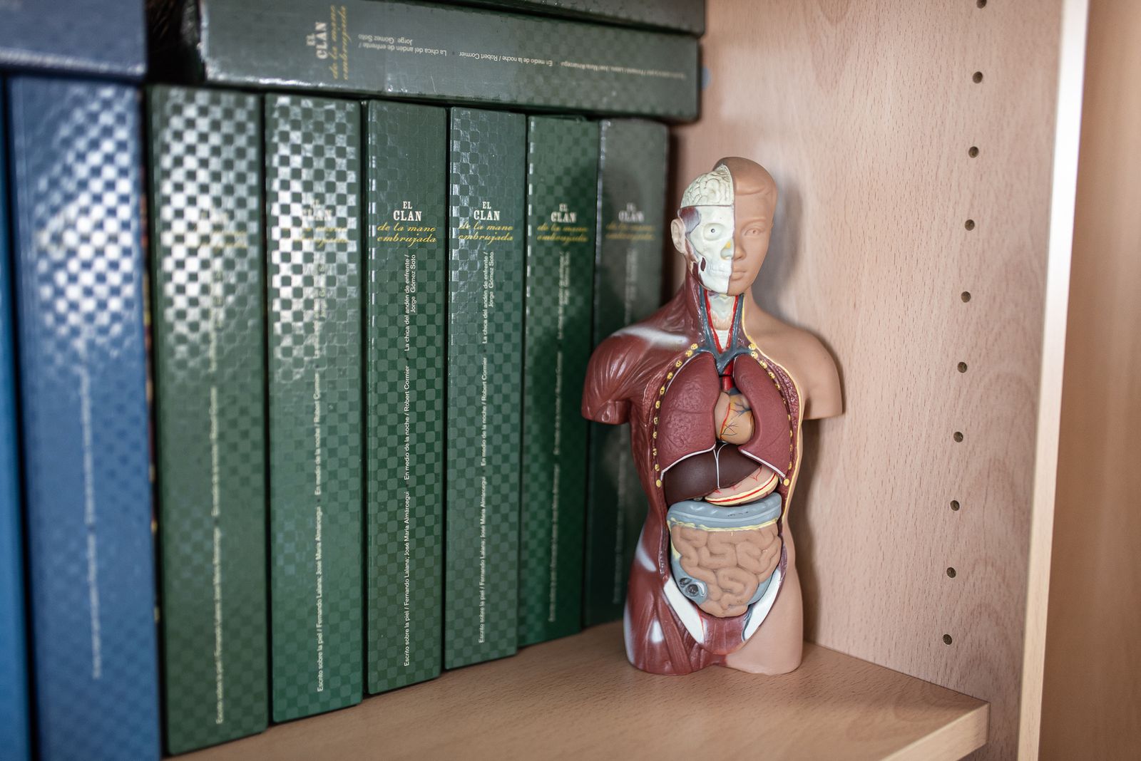 La consejera de Salud y Consumo, inaugura la reforma del área de Salud Mental del Hospital Vázquez Díaz, en imágenes