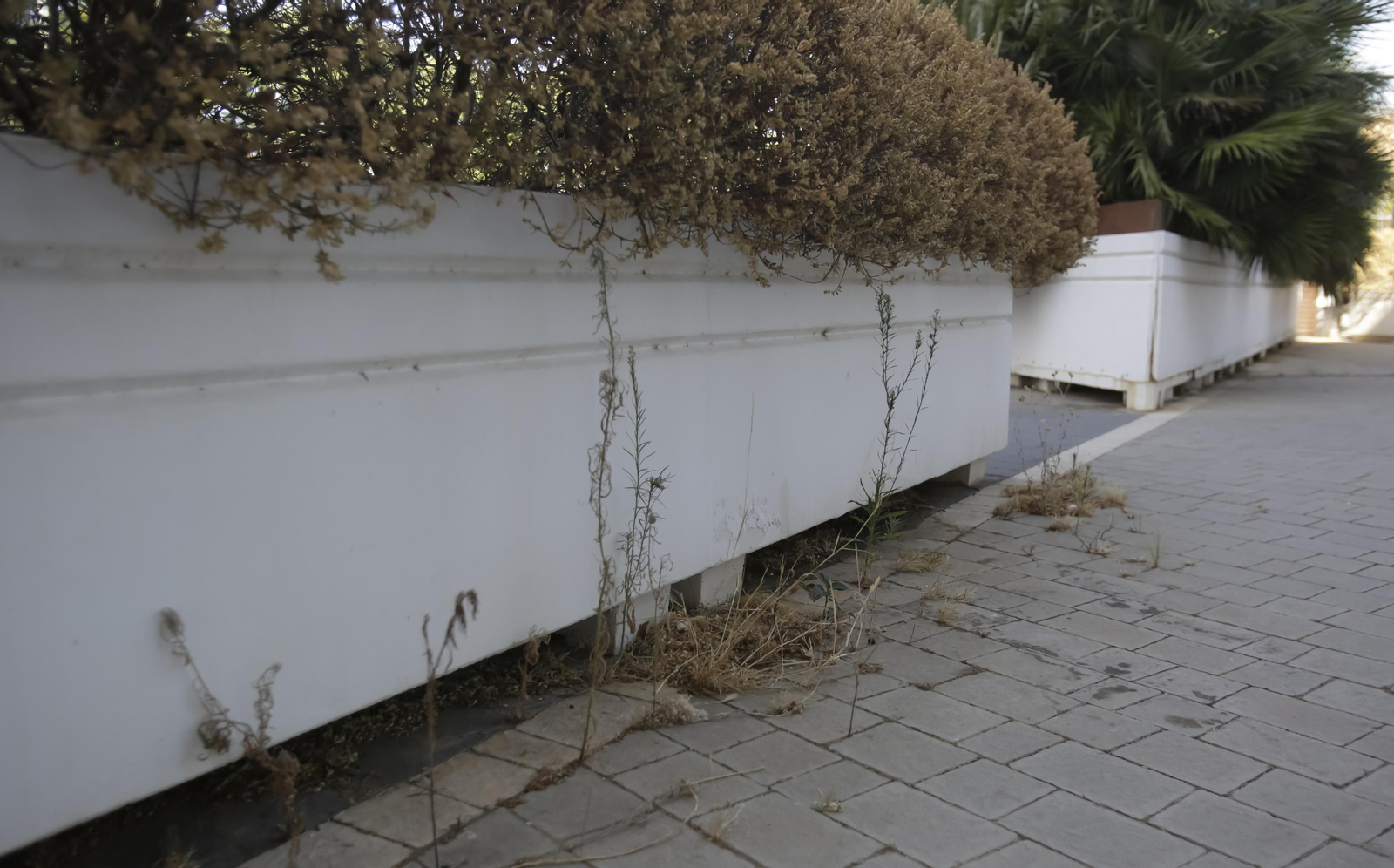 Abandono y mal estado de la plaza entre Mercadona y Plaza de Armas