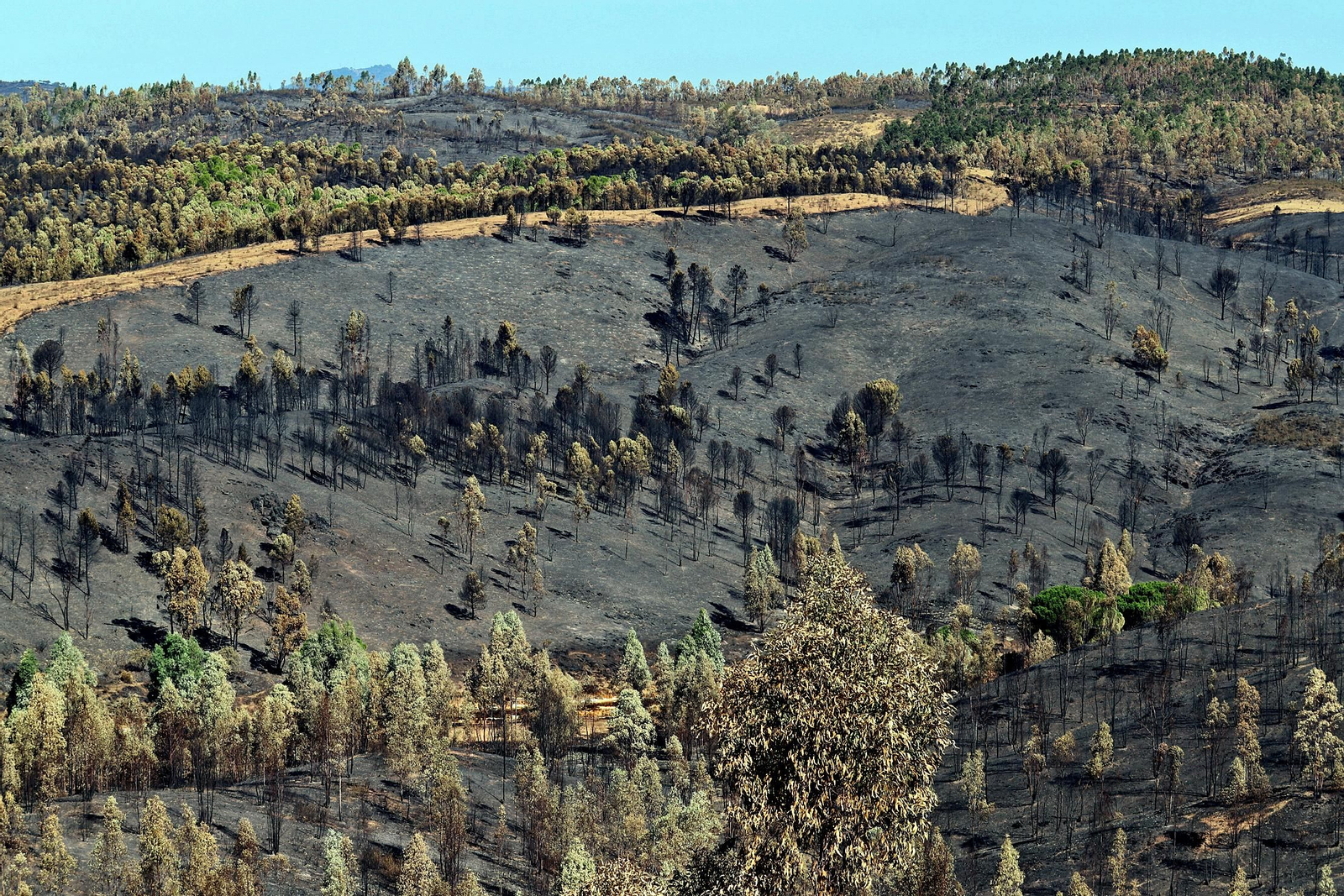 Imágenes de las zonas devastadas por el incendio de Almonaster la Real