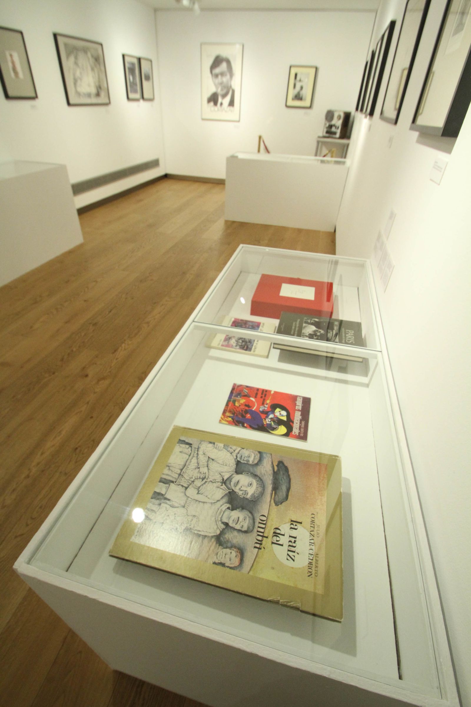 Las mejores imágenes de 'El universo de Julio Cortázar'