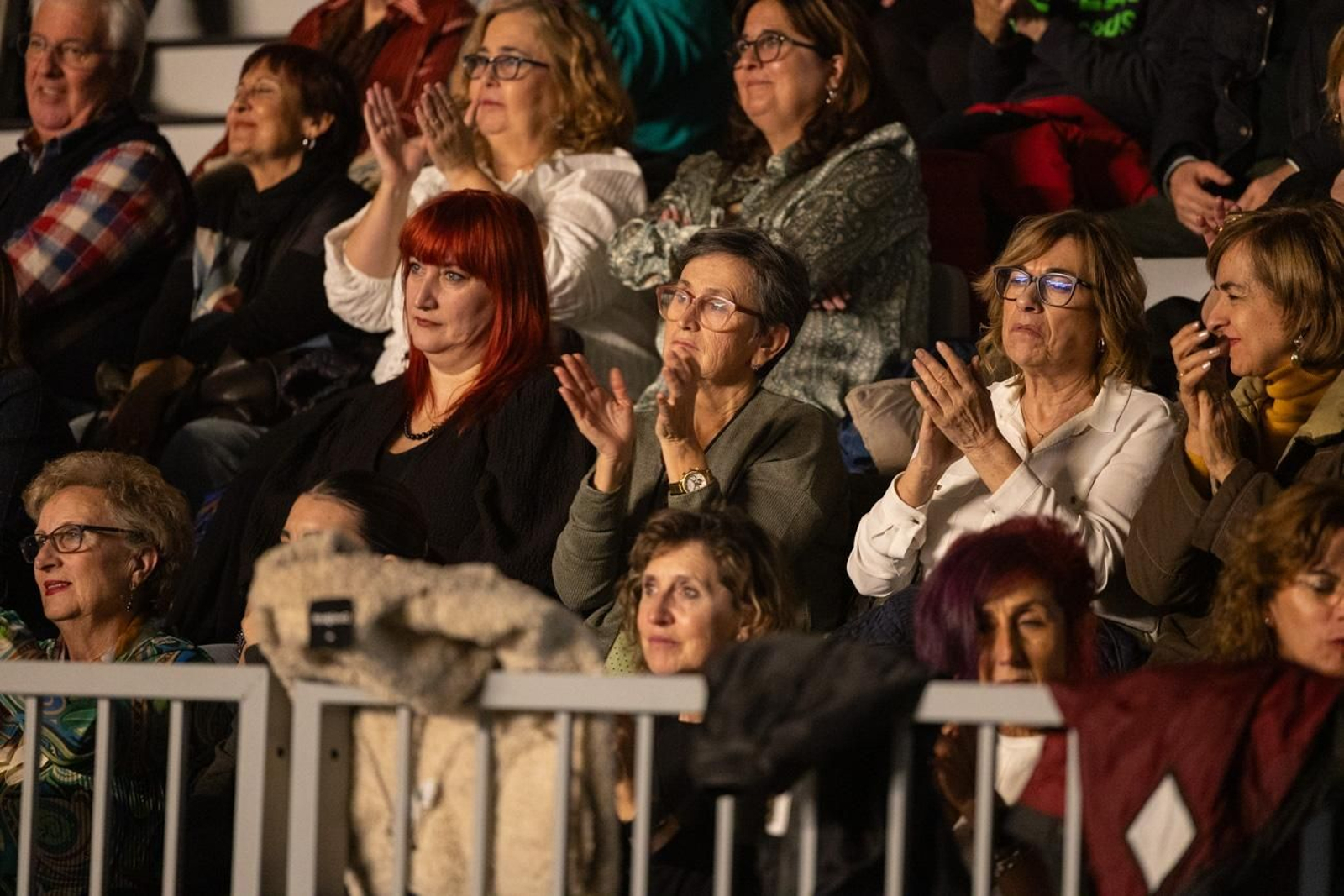 Así se disfruta en Jaén del concierto de Raphael, "Raphaelísimo"