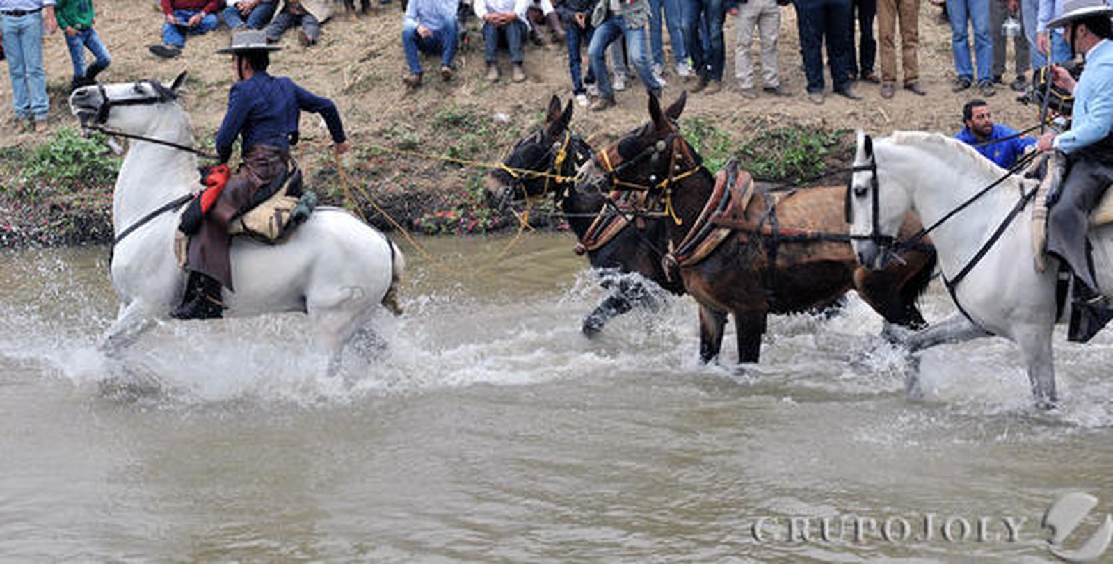 Foto: Juan Carlos Vázquez