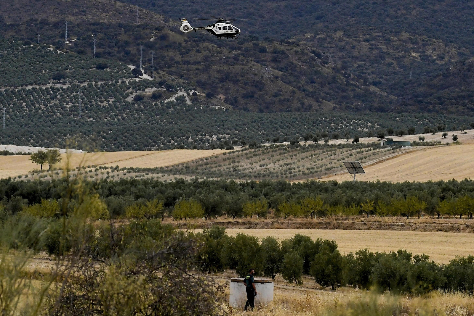 La Guardia Civil sigue buscando la ¿pantera o el gato de Ventas de Huelma?