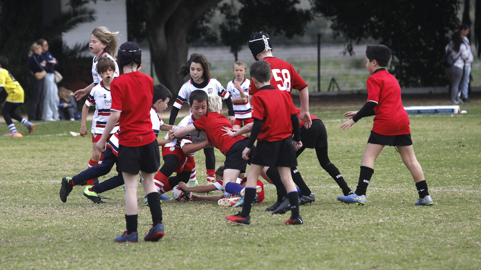 Las fotos de la Jornada de escuelas de rugby en Pueblo Nuevo de Guadiaro