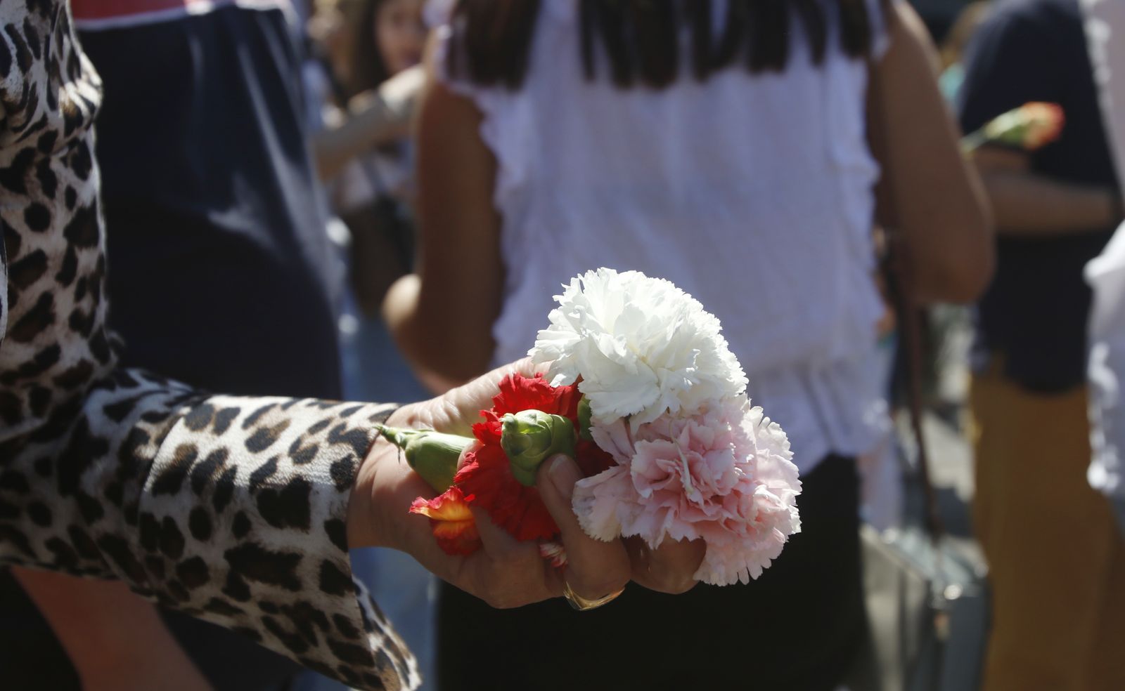 La Batalla de las Flores de Córdoba, en imágenes