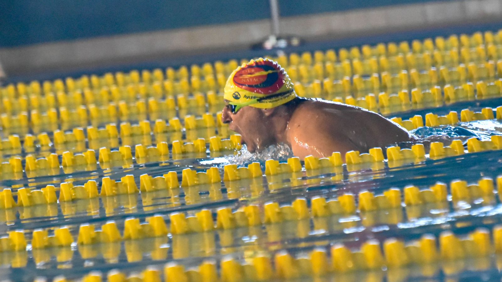 Las fotos del Campeonato de Natación Master en Los Barrios