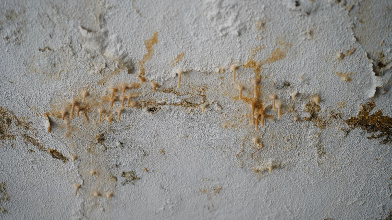 Así es la dejadez en el Centro Cívico de la reconquista.