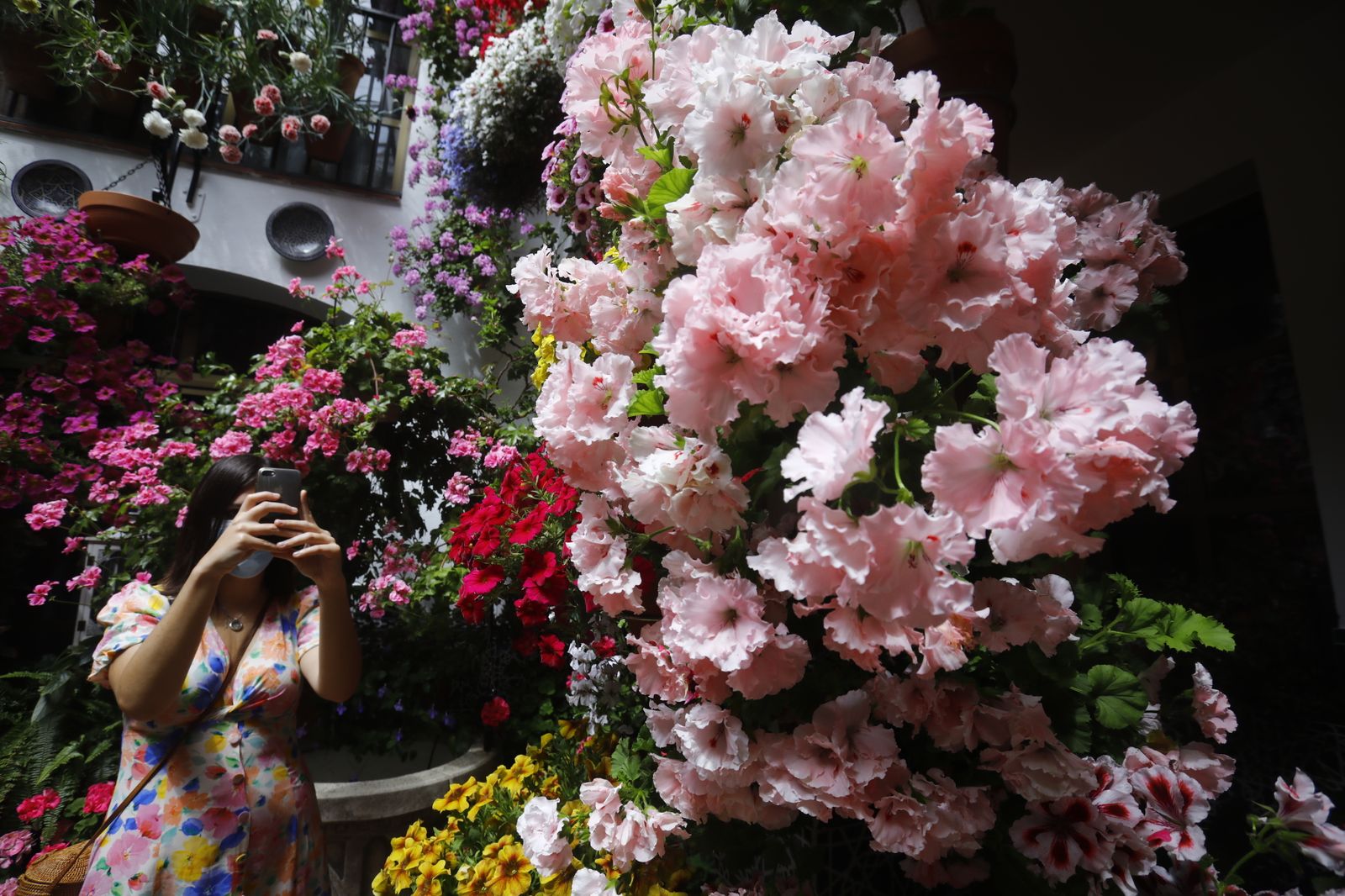 Fotografías: Sábado de colas y bulla en los Patios de Córdoba