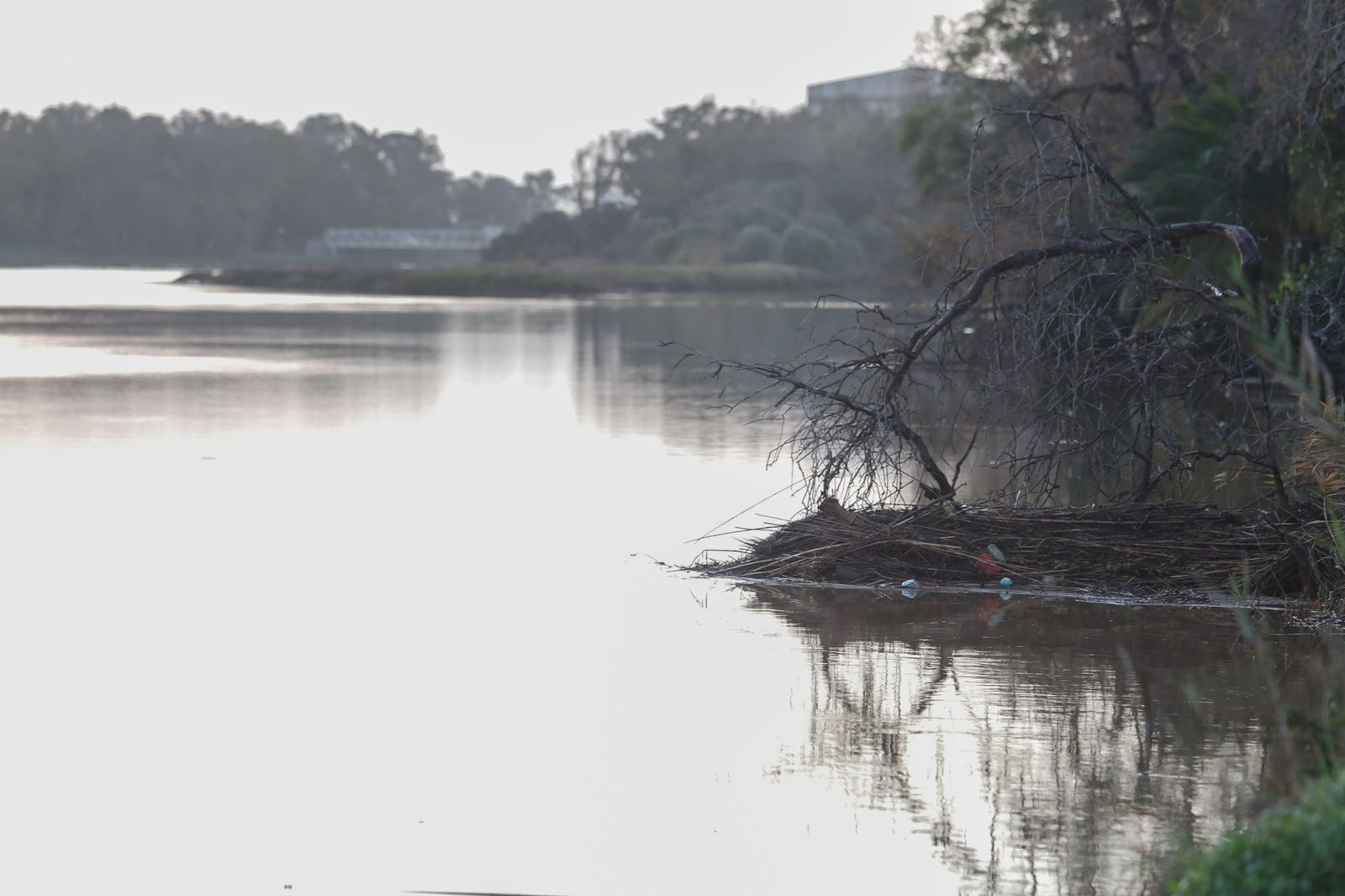 Las fotografías de Guadarcote, el río Guadarranque y la Estación de San Roque tras el paso de la borrasca Francis