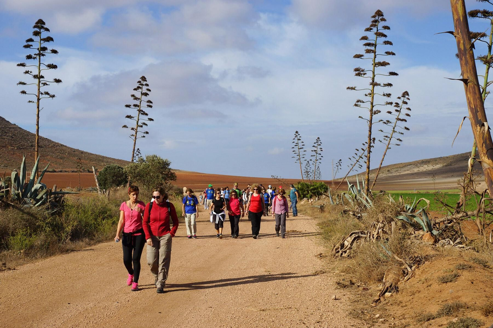Las rutas no entrañan dificultad y han generados lazos de amistad