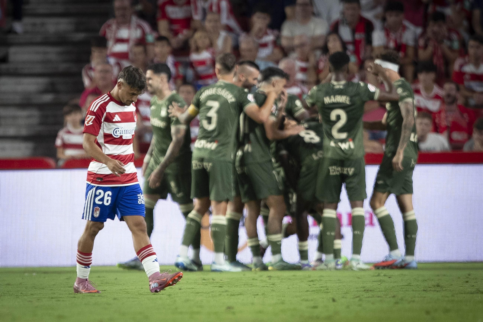 Rodelas, resignado, mientras el Leganés celebra un gol en el Nuevo Los Cármenes