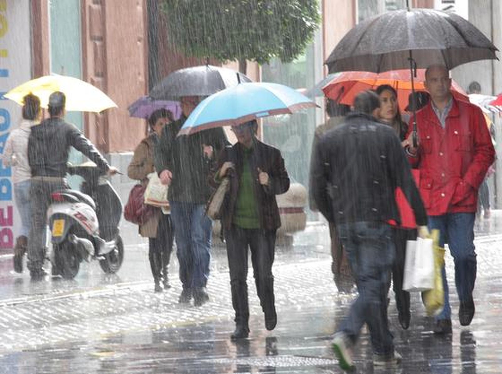 El centro ha continuado su actividad y los sevillanos han comprado los últimos regalos sin desprenderse del paragüas.

Foto: J. C. Vázquez, B. Vargas y A. Pizarro