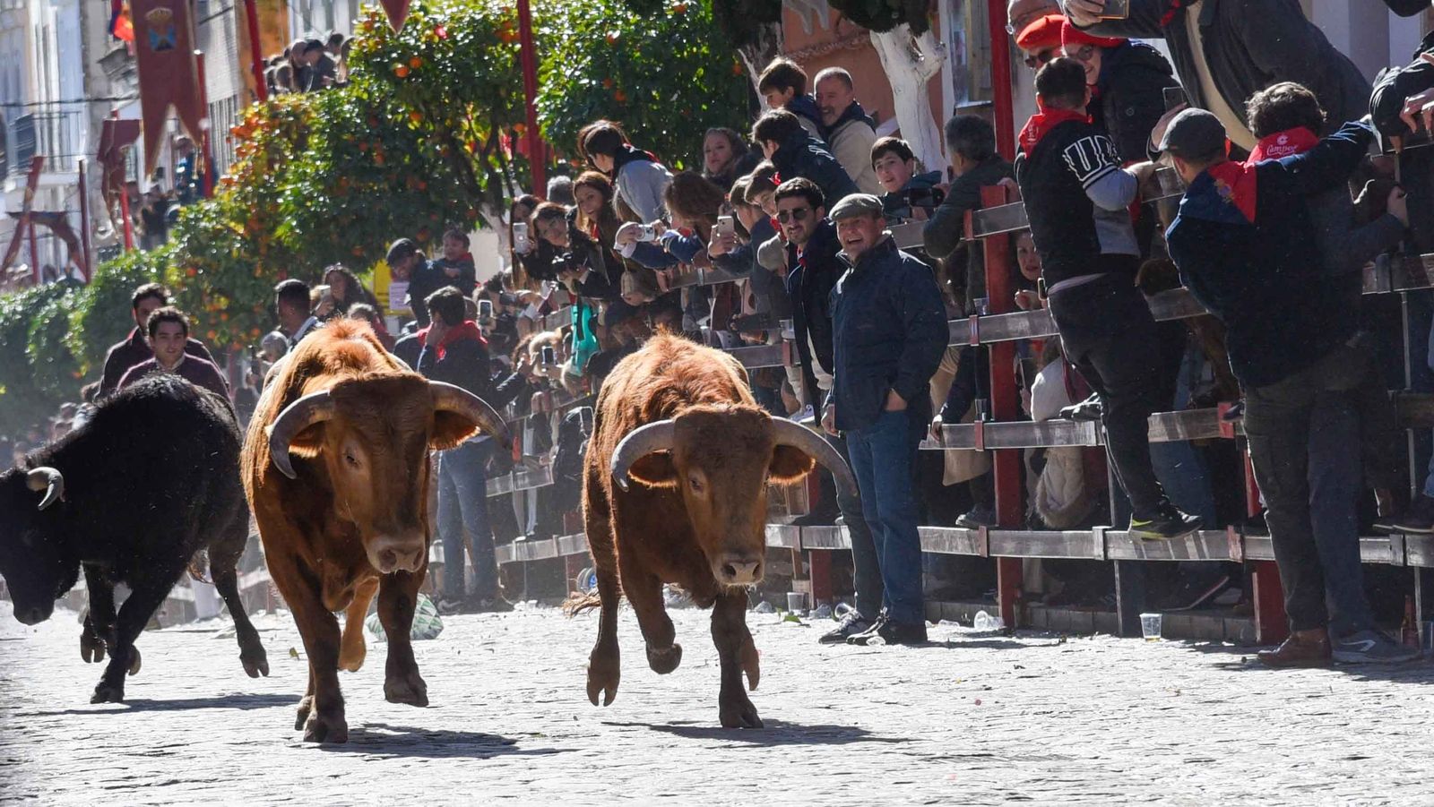 Las imágenes de los festejos de San Sebastián en La Puebla del Río 2026