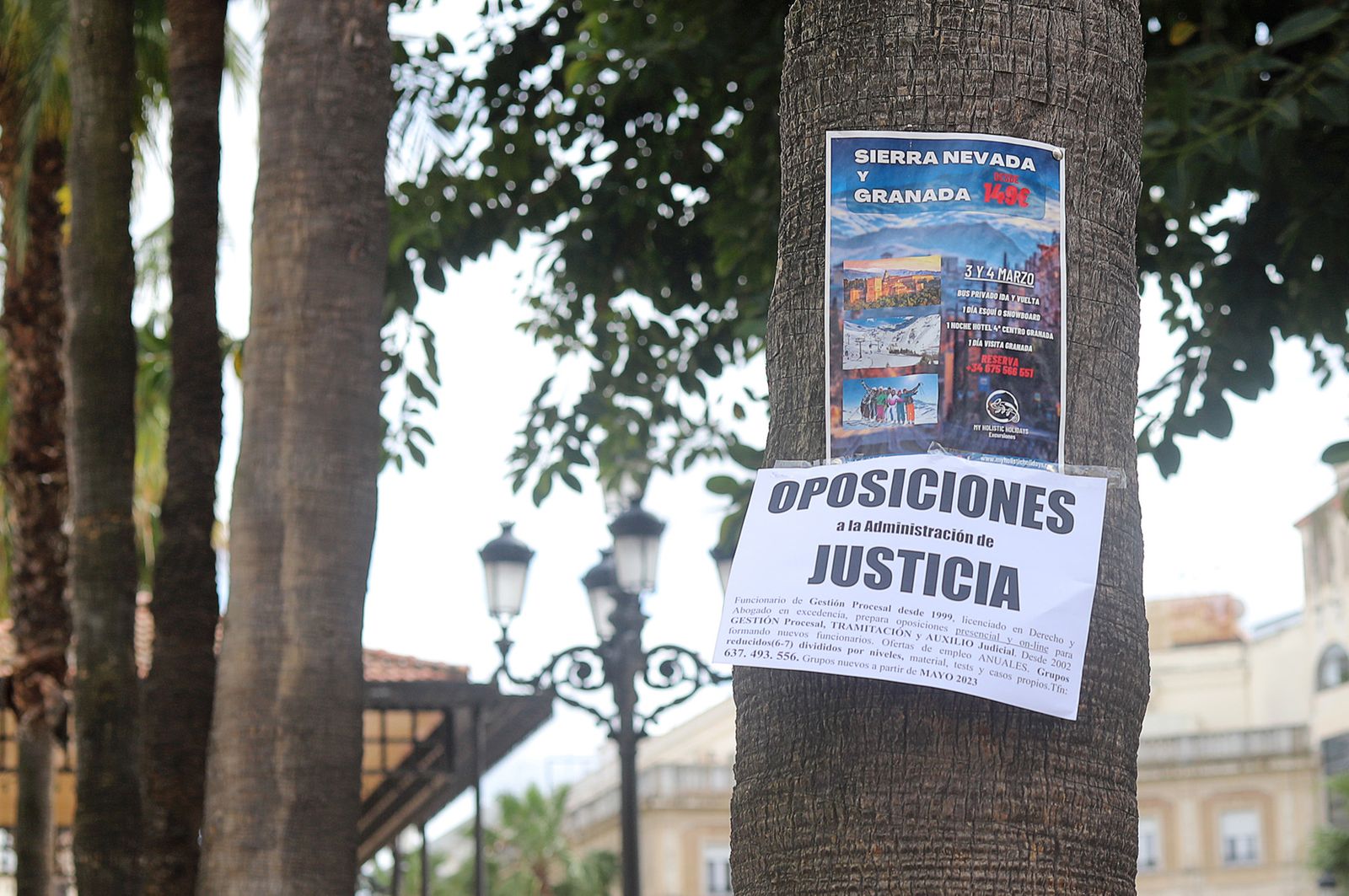 Imágenes del viernes 24 de marzo en Huelva