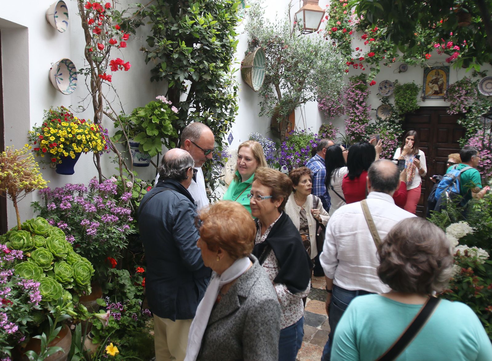 Ambiente en los patios ganadores de 2017