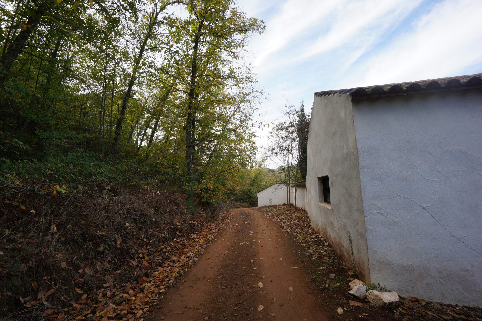 Un paseo en fotografías por el castañar de Valdejetas en la Sierra de Córdoba