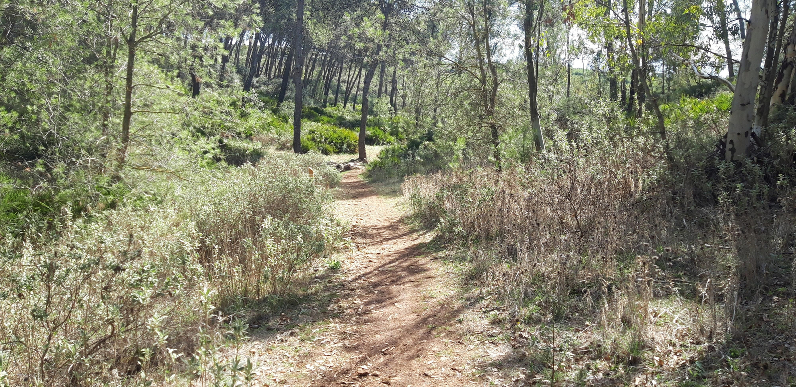 Las fotos de la ruta del castillo de Cote, en Montellano