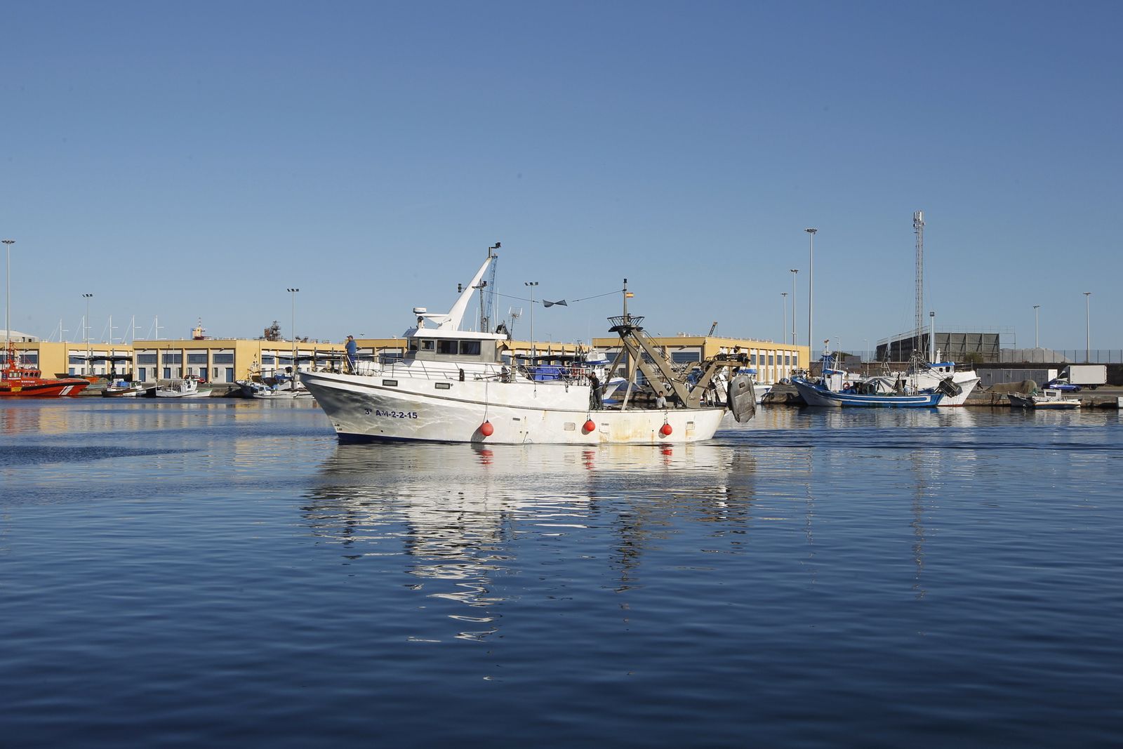 La gamba roja, entre las especies más afectadas por el reglamento europeo.