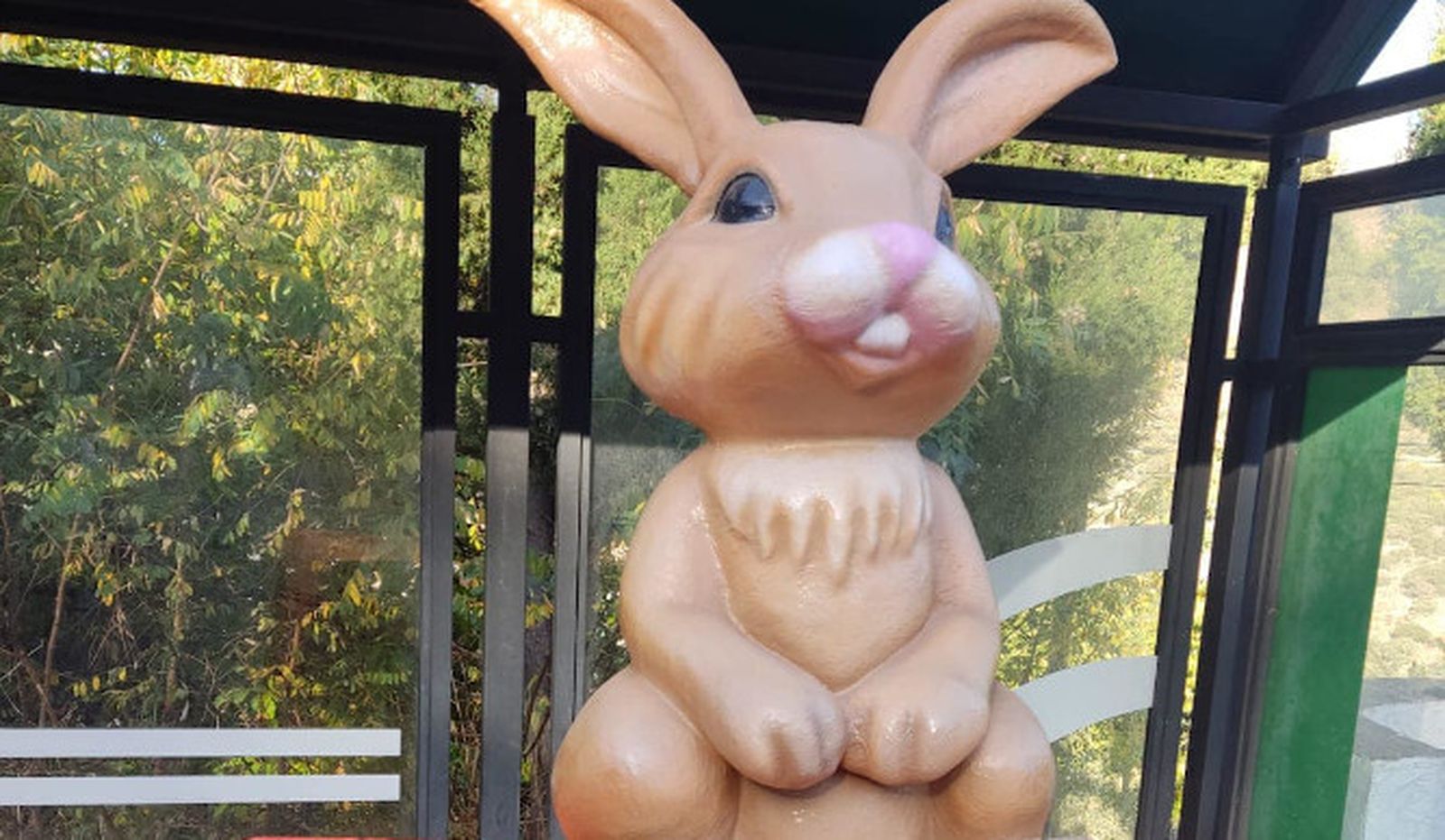 Conejo 'desaparecido' en Parautas.