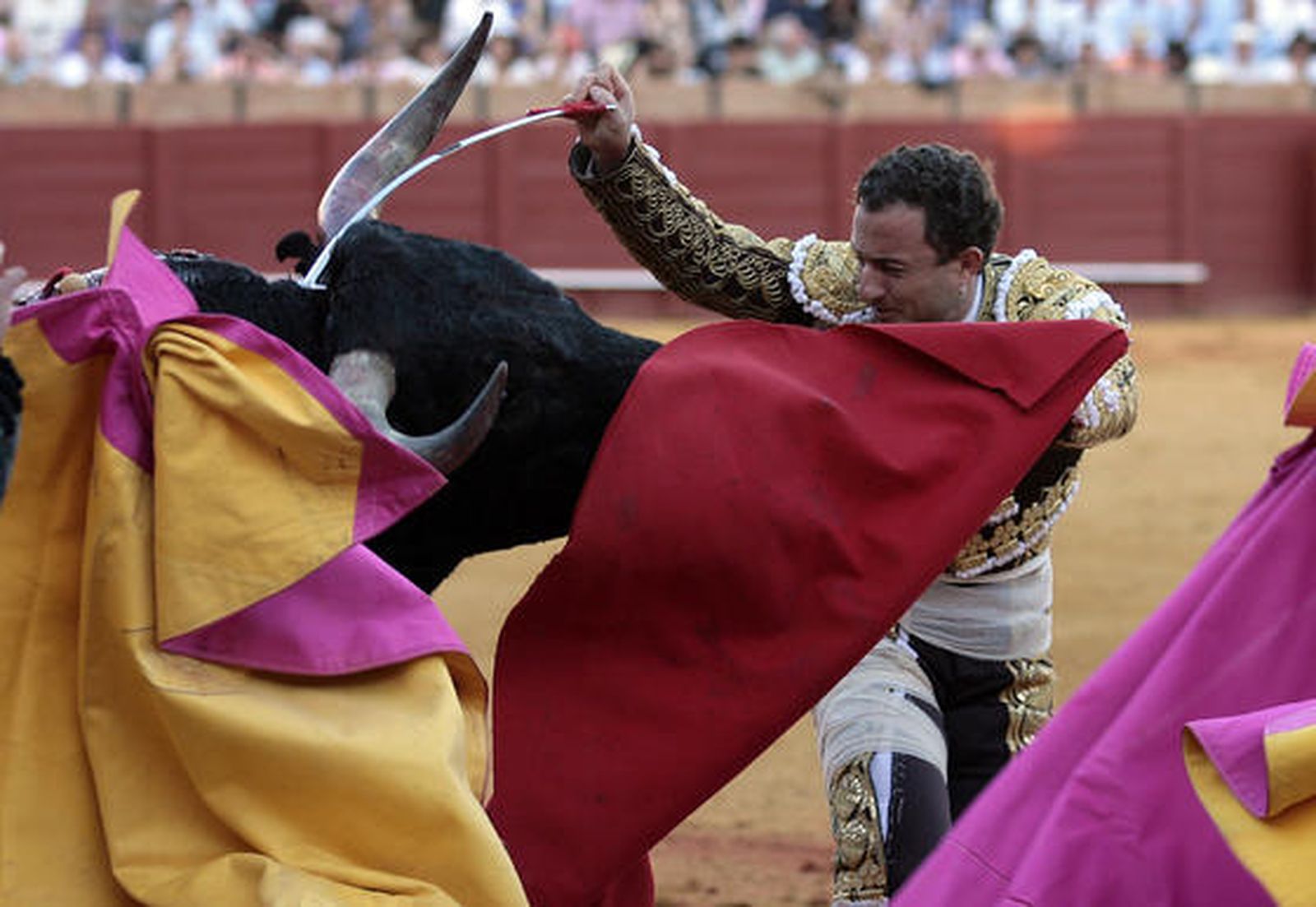 Rafaelillo trata de lidiar al quinto toro, del que sufrió también una cogida., 

Foto: Juan Carlos Muñoz