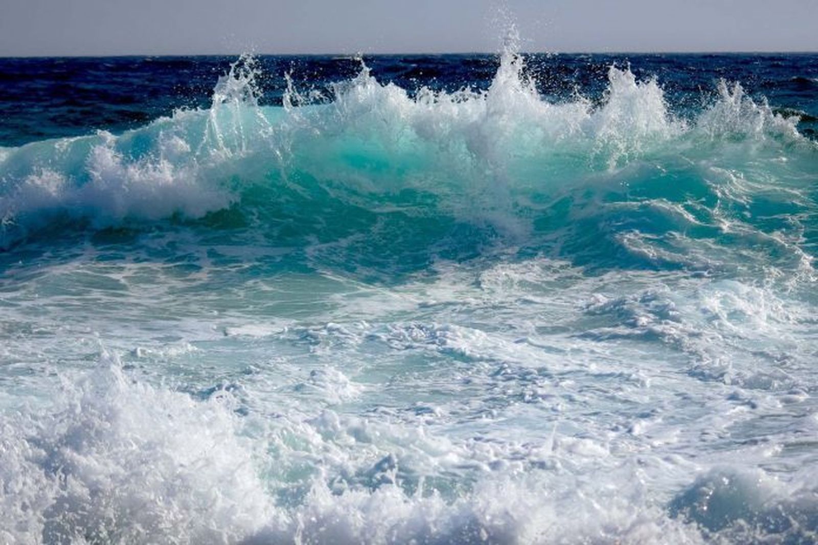 El CEIMAR lanza su IV Convocatoria de Ayudas a Proyectos Empresariales vinculados con Economía Azul