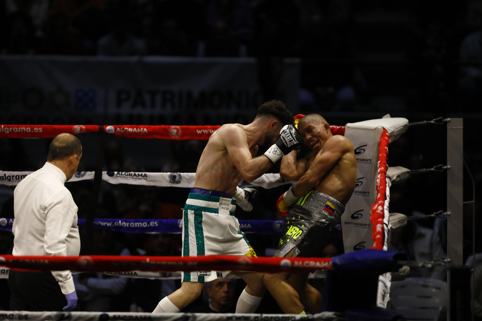 Las imágenes del combate entre José Luis Navarro Jr y Ronny Landaeta en Córdoba