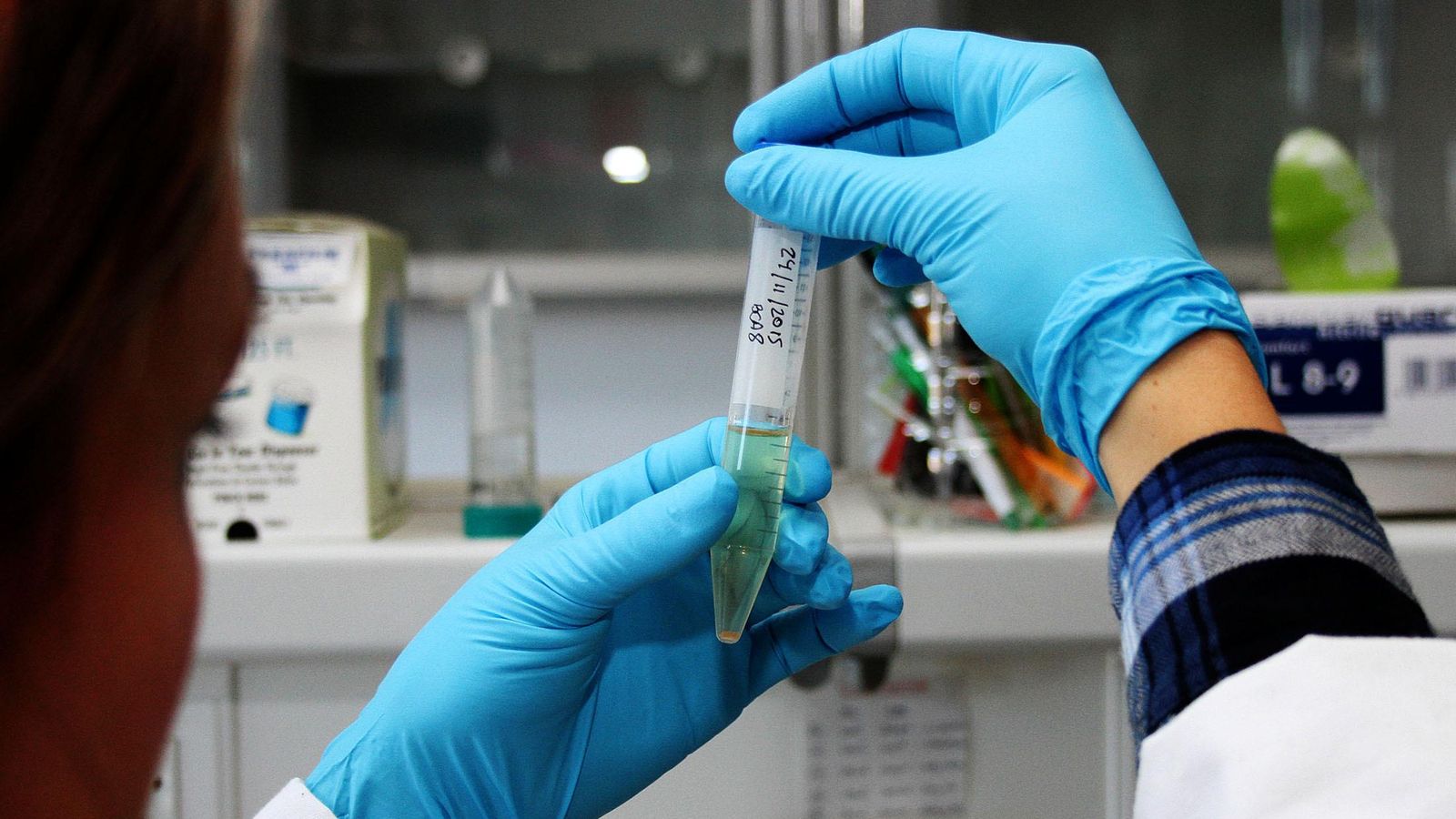 Laboratorio de microalgas.