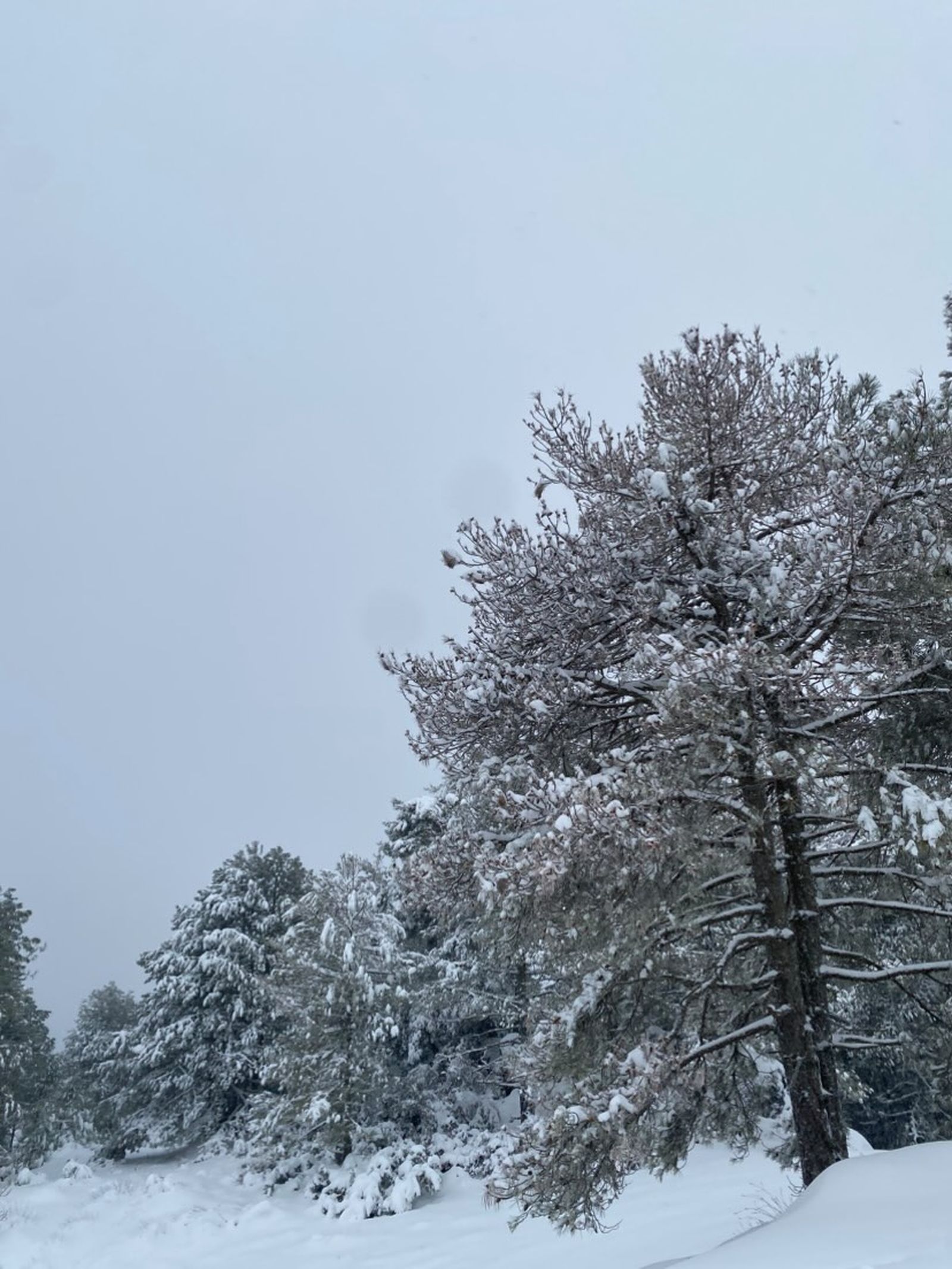 619236220_1452318263177467_7377286032696544991_n