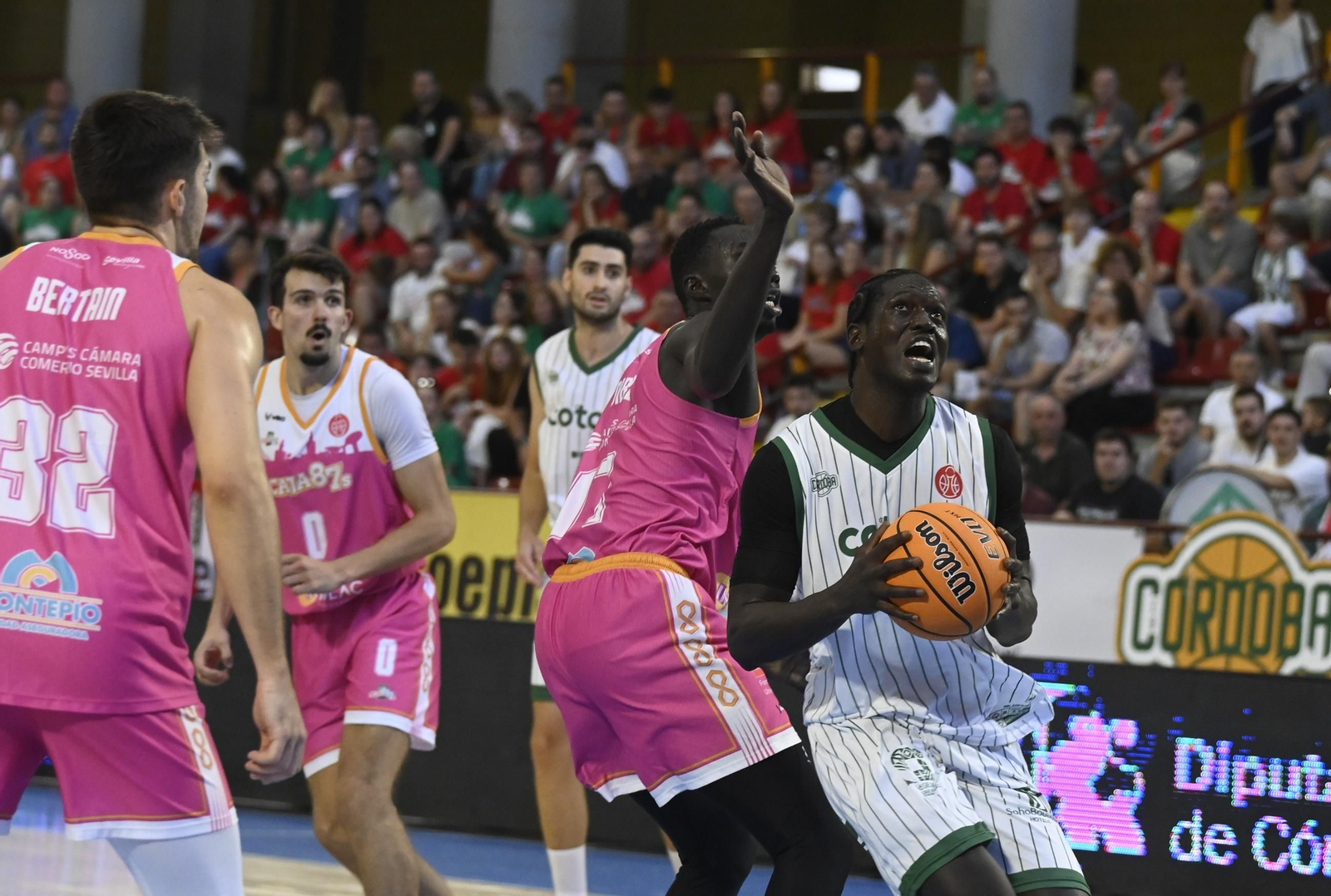 Las mejores fotos del Coto Córdoba - Caja 87 de la Copa de España en Vista Alegre